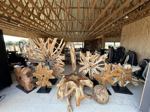 Sculptural wood pieces displayed inside The Hive